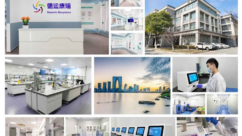 CHO细胞培养基规格参数解析：揭秘高效细胞培养的关键**