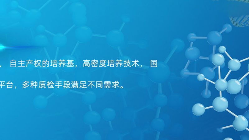 多重实时荧光PCR引物设计的五大关键步骤