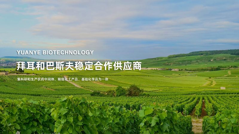 离心管安装后，平衡检查为何如此关键？**