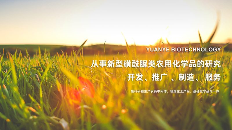 磷酸化抗体Western blot检测：揭秘蛋白质磷酸化研究的关键技术**