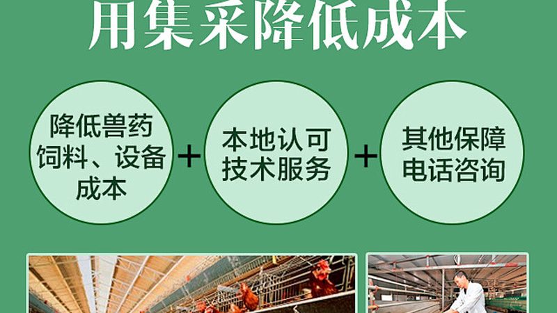 酶含量测定方法参数：关键指标与选择指南**