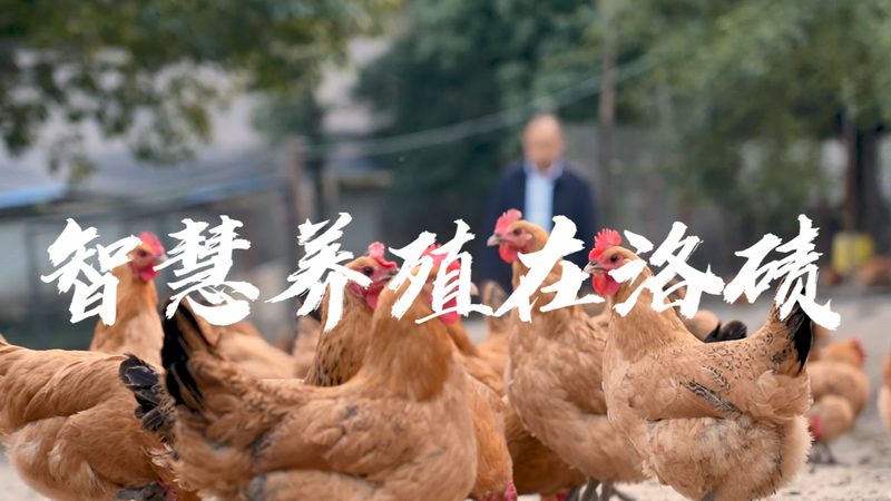 生物制品价格低？揭秘背后的考量因素**
