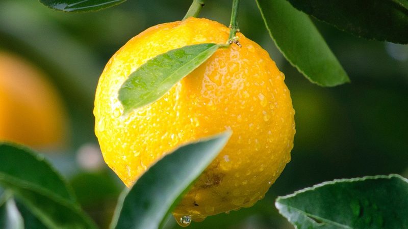 离心管：生物实验中的“隐形英雄
