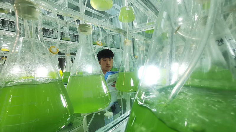生物科技公司研发中心：布局策略与未来趋势**